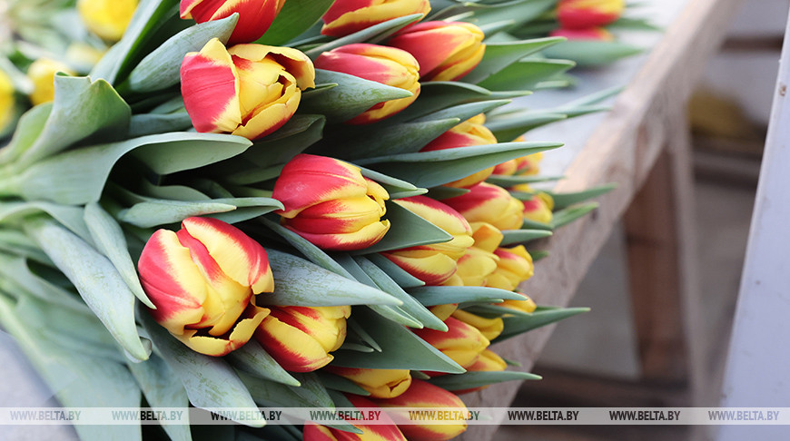 Фото из архива