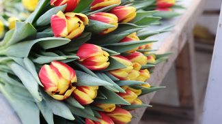 Фото из архива