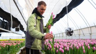 Алексей Дышко