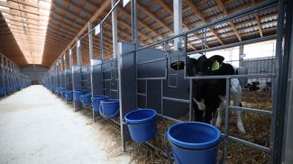 Фото из архива