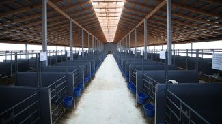 Фото из архива