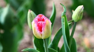 Фото из архива