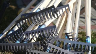 Фото из архива