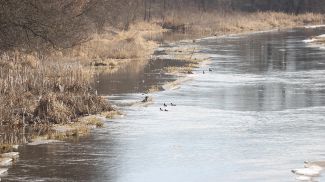 Фото из архива