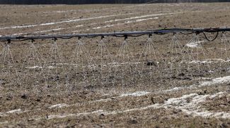 Фото из архива