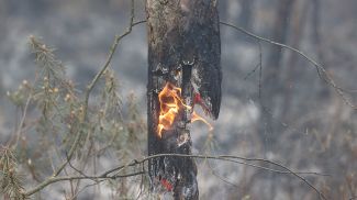 Фото из архива