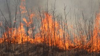 Фото из архива