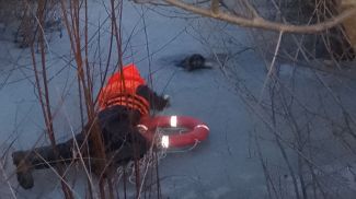 Фото gomel.mchs.gov.by