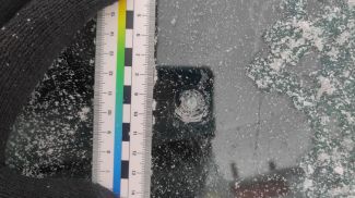 Фото УСК по Гомельской области