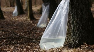 Фото из архива