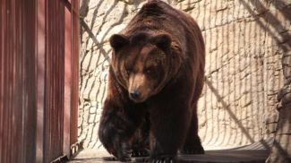 Фото Минского зоопарка