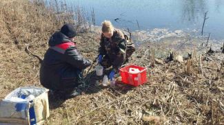 Фото Минприроды