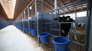 Фото из архива