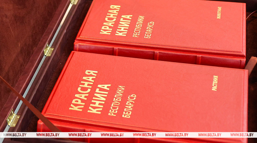 Фото из архива