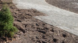 Фото из архива