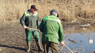 Фото Мингоркомприроды