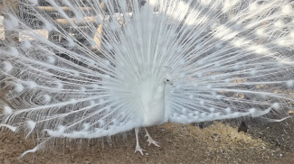 Фото зоопарка