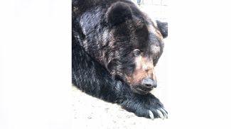 Фото Жлобинского зоопарка