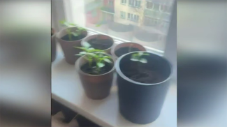 Скриншот видео ГУВД Мингорисполкома