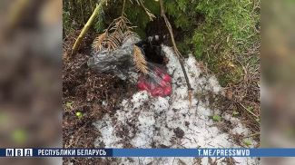 Скриншот видео МВД