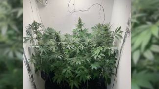 Скриншот видео УВД Могилевского облисполкома