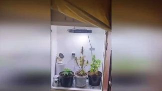 Скриншот видео ГУВД Мингорисполкома