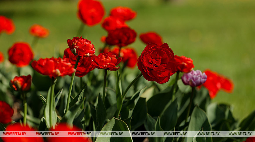 Фото из архива