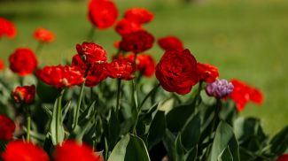 Фото из архива