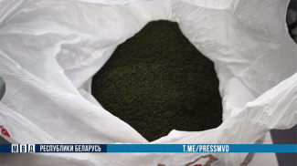 Скриншот видео МВД