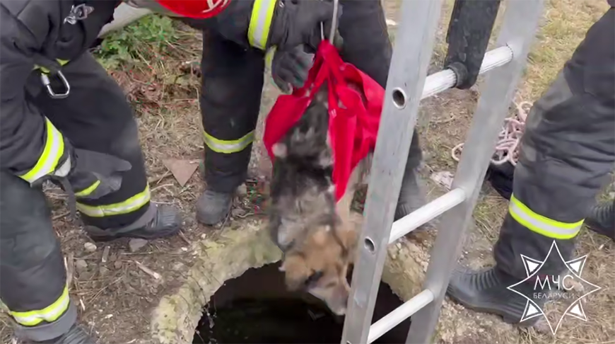 Скриншот видео МЧС