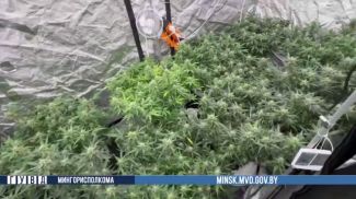 Скриншот видео ГУВД Мингорисполкома