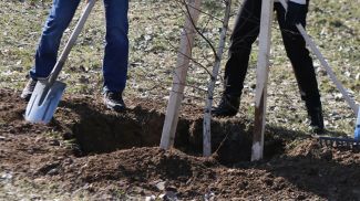 Фото из архива