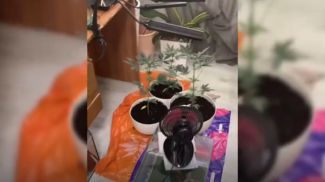 Фото УВД Гомельского облисполкома