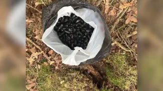 Скриншот видео МВД