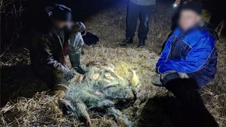 Фото gosinspekciya.gov.by