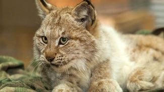 Фото из архива