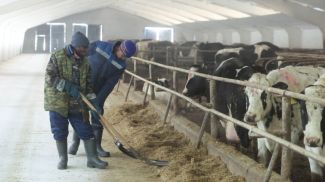 Фото из архива