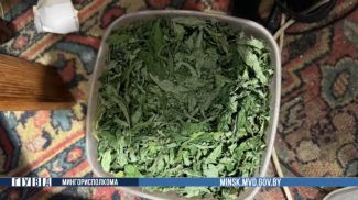 Скриншот видео ГУВД Мингорисполкома