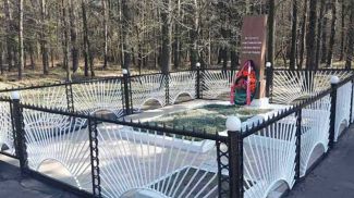 Фото Минского ГПЛХО