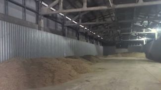 Скриншот видео МВД