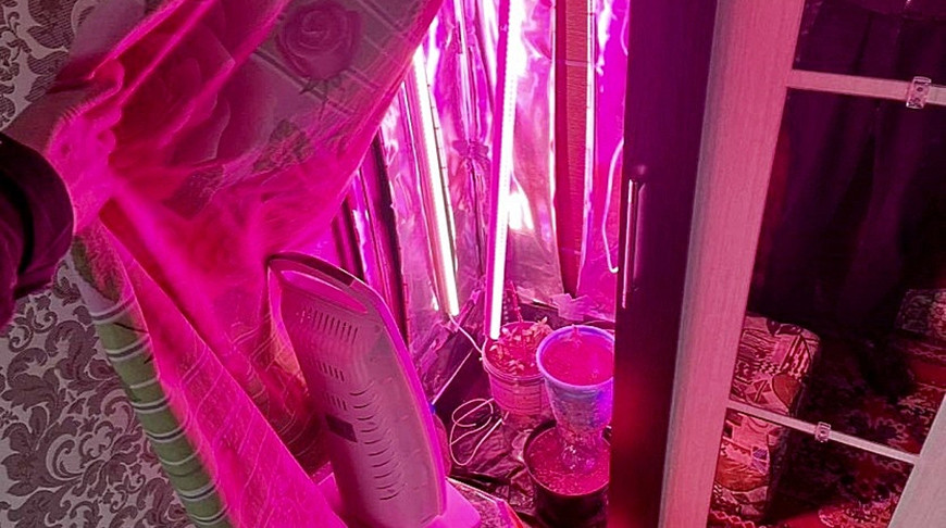 Фото УСК по Витебской области