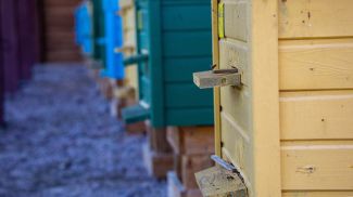 Фото из архива