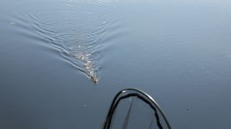 Фото из архива