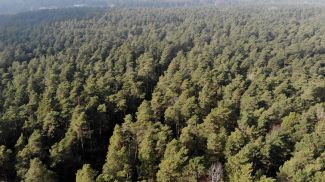 Фото из архива