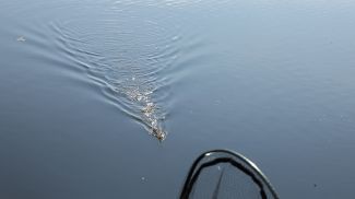 Фото из архива