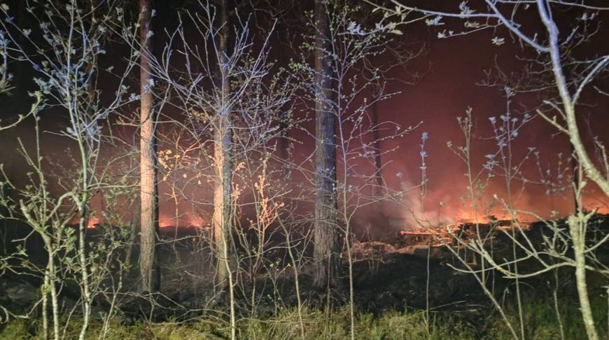 Движение на трассе в Пинском районе ограничивали из-за лесного пожара