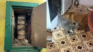 Фото Гомельского областного управления МЧС