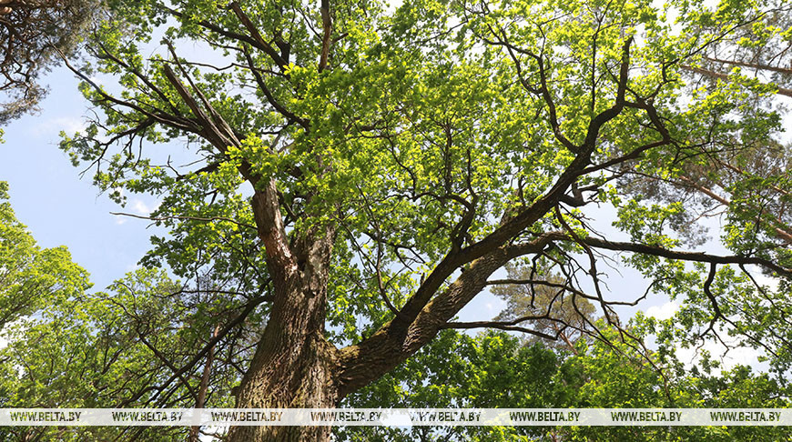 Фото из архива