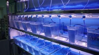 Фото из архива