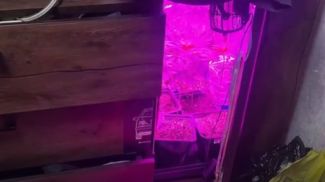 Скриншот видео УВД Гомельского облисполкома